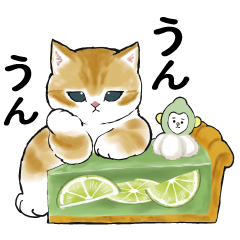 Cat sweets!×LINEMO