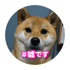 yuka_20240105083155