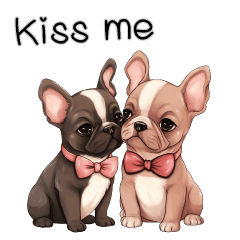 French Bulldog couple cute English