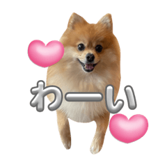 pomyu_20240105103303 – LINE stickers | LINE STORE