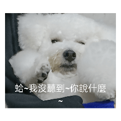 蛤 我沒聽到