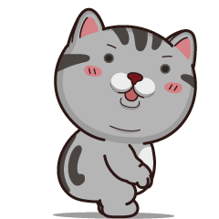 วีต้าแมวป่วน กวนโอ้ยคูณสี่