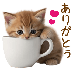 cute kitten thanks sticker by keimaru