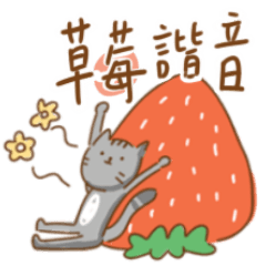 貓貓米糕 草莓季來了｜莓的諧音梗