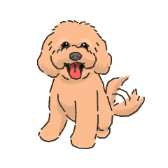 Toy poodle-like toy poodle stickers