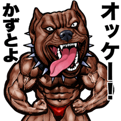 Kazutoyo dedicated Muscle macho animal