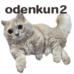 odenkun2