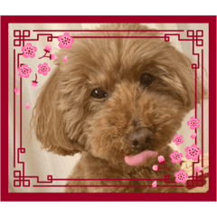 SAYURI_20240106002640