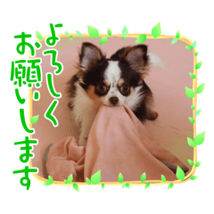 sakurako_20240106120241