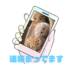ton_20240106080136