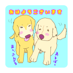 genmai_20240106111312