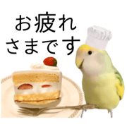 kanon kazeno_20240106133440