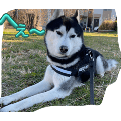 VIRGIL_20240106191359