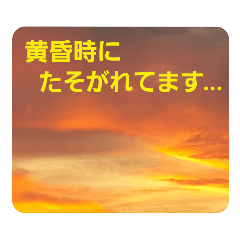 夕焼け雲の伝言板1(黄昏時のあれこれ!？)
