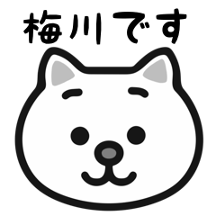 Umekawa cat stickers