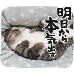 kana_20240106173925