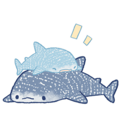 Whale shark (Revised Version)
