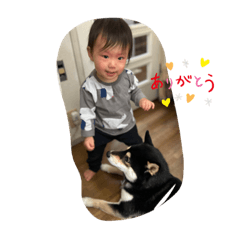 sakura_20240107134818