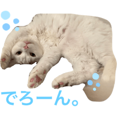 Tori_20240107172649