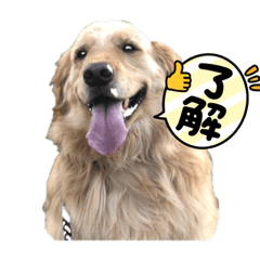 chanrina_20240107194248