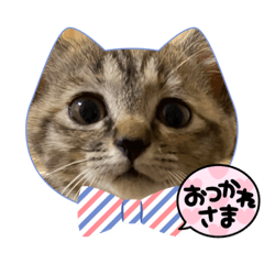 Ricky_20240107172328