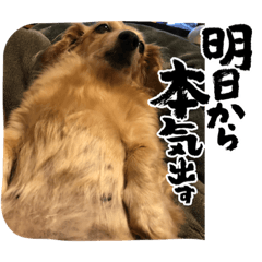 Tori_20240107184703