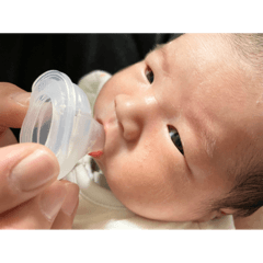 sakura_20240107184747