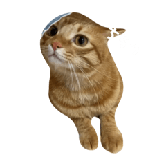 Nob_20240107224429