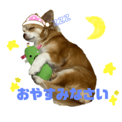 omochi_20240108003317
