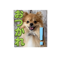 miromiro_20240108133129