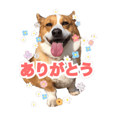 tori_20240108122703