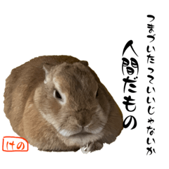 onigiriFace_20240108143129