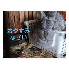 mirry_20240108104743