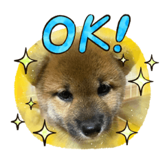 shinoman_20240108120756