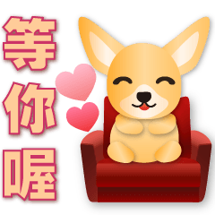 Cute Chihuahua -Practical daily phrases