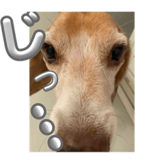 sakura_20240108023303