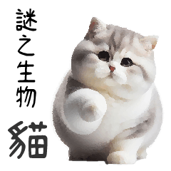 A fat cat01