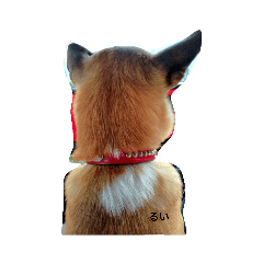 gengoro_20240108155058