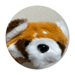 red panda RESAMON
