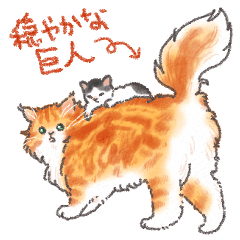 Cat Sticker for lover7