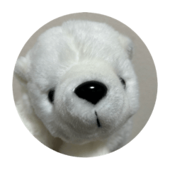 polar bear HAPIMON