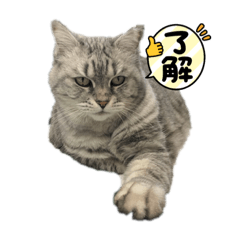 もみちゃんスタンプ❤︎