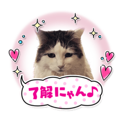 Kay_20240108182355