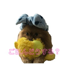 yuri_20240108230008