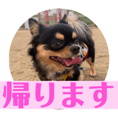 maya_20240108221852