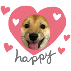 Sakura_20240109064212