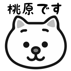 Momohara cat stickers