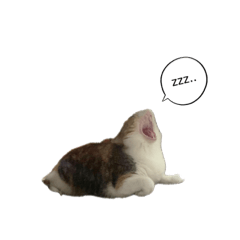 nao_20240109020827