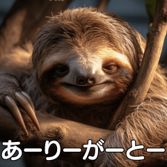 Sloth replies.