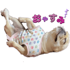 yuka_20240109064408